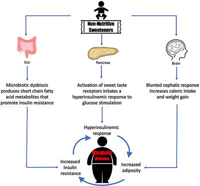 The Effects of Non-Nutritive Sweetener Consumption in the Pediatric Populations: What We Know, What We Don’t, and What We Need to Learn